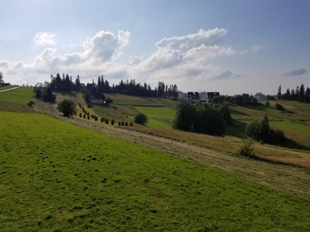 Pokoje Goscinne U Kantora Bukowina Tatrzańska Exterior foto